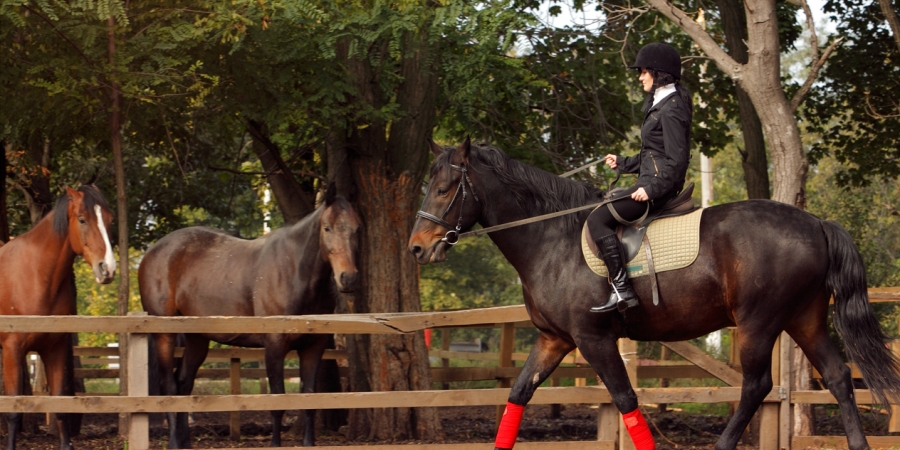 КЛАССИФИКАЦИОННЫЕ СОРЕВНОВАНИЯ НА ПЕРВЕНСТВО КЛУБА "СТЕТСОН"