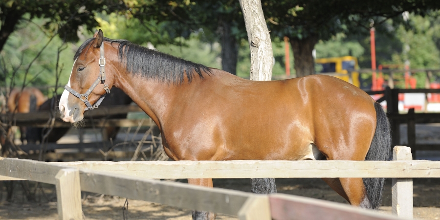 Скидки на абонементы!