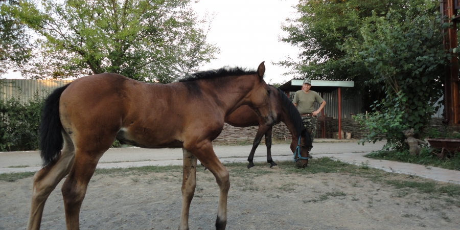 Призовой конкурс