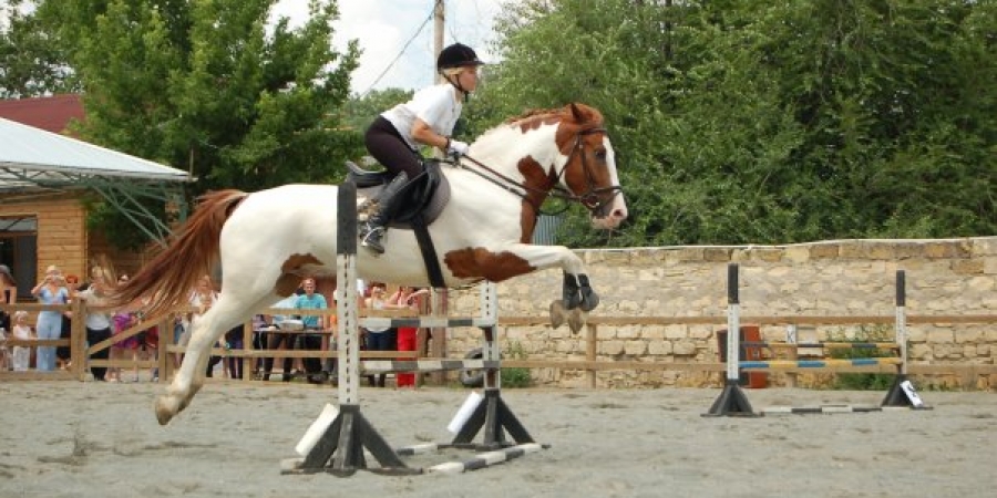 Соревнования на первенство клуба