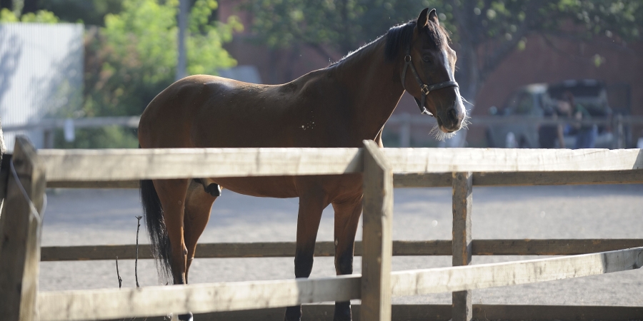Акции в Stetson!