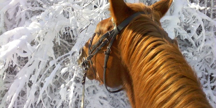 Новогодние скидки