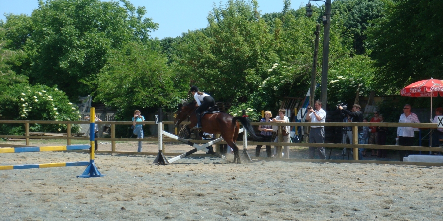 Соревнования на кубок клуба "Стетсон"