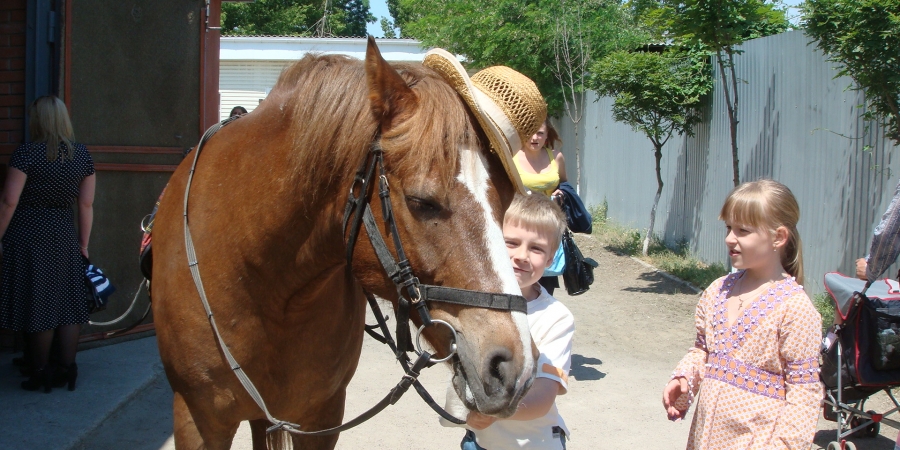 Заканчивается голосование в фотоконкурсе