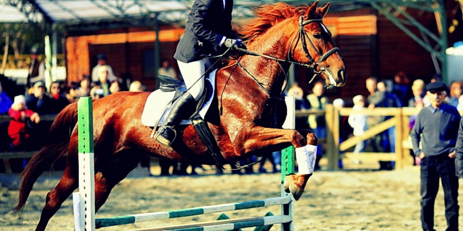 КАЛЕНДАРЬ СОРЕВНОВАНИЙ ПО КОННОМУ СПОРТУ КЛУБА «СТЕТСОН» НА 2011 ГОД