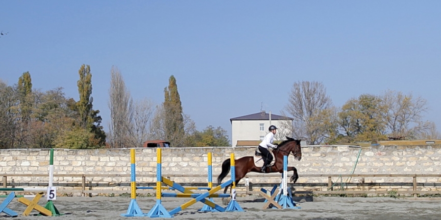 Соревнования на кубок клуба