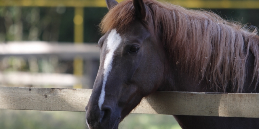 Перенос соревнований на 11.06.2016