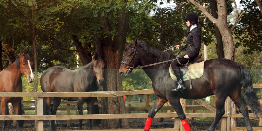 Участникам соревнований на первенство клуба